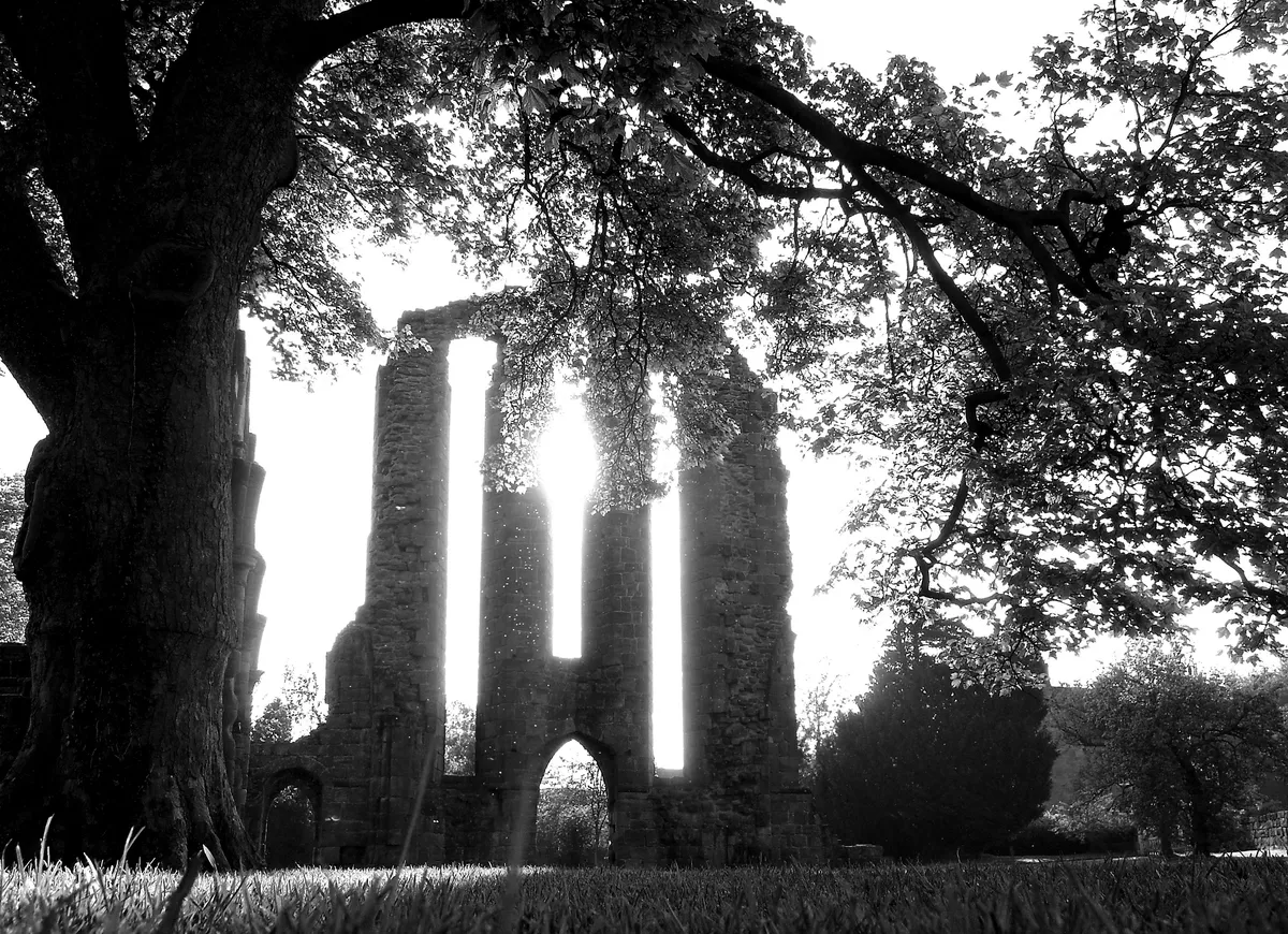 Croxden Abbey, Staffordshire — landscape photograph by Wayne Chell