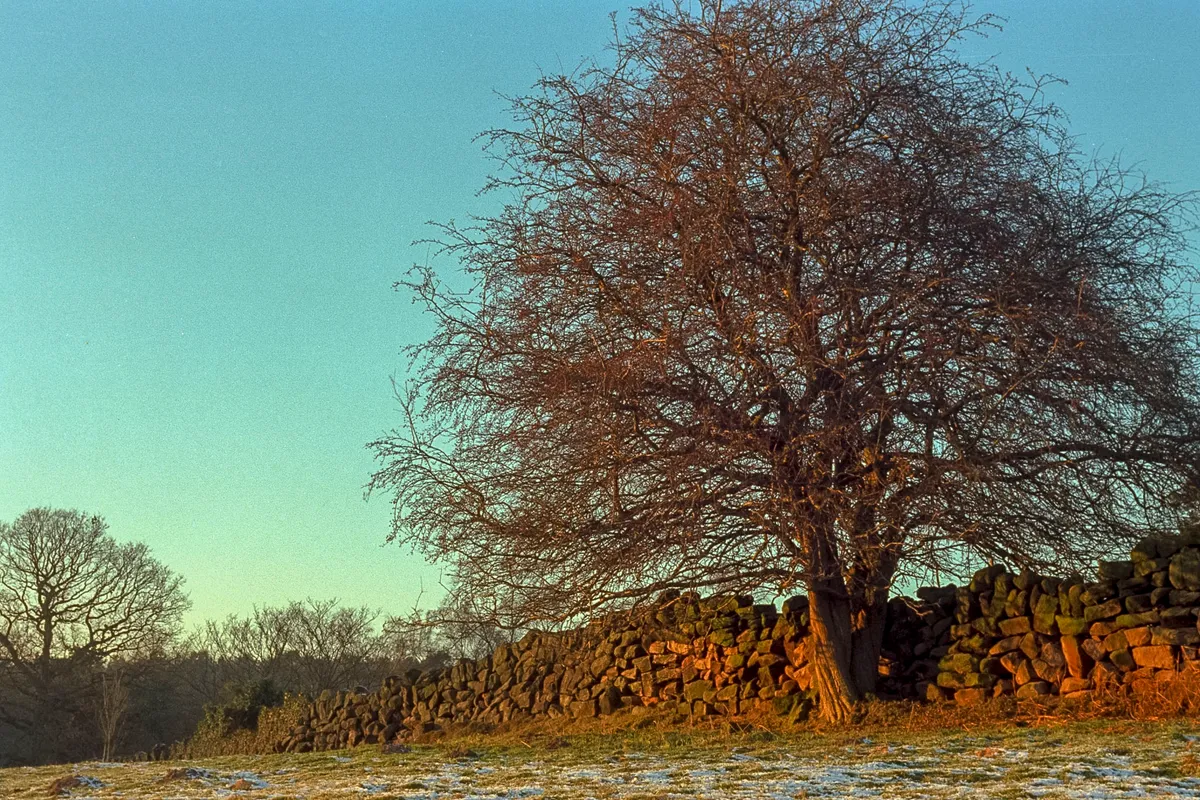 Dimmingsdale, Staffordshire Moorlands — landscape photograph by Wayne Chell